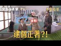 【寶島西米樂 守護】EP262 彩鳳撞見義成背著芳男跟其他女生約會？氣到當場潑水！ | 台視八點檔年度大戲 | FORMOSA SEBIRO