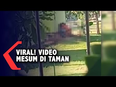 Viral! Video Mesum di Taman Maramis Kota Probolinggo