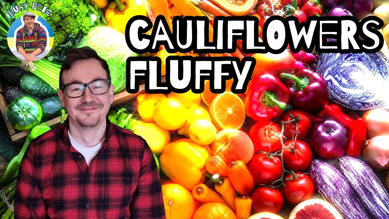 busy-pete-sings-cauliflowers-fluffy-for-jessica-youtube
