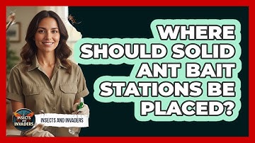 Where Should Solid Ant Bait Stations Be Placed?