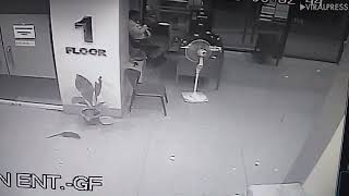 Mice And Rats Scaring People Compilation