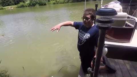 Turtle trapping part 2 = Location+Catching