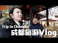 🇯🇵🇨🇳🇺🇸SUB]买贵10倍+热情围攻！成都翻车现场曝光！日本太太的成都旅游