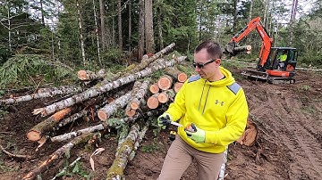 Using a DBH or Diameter at Breast Height Measuring Tape