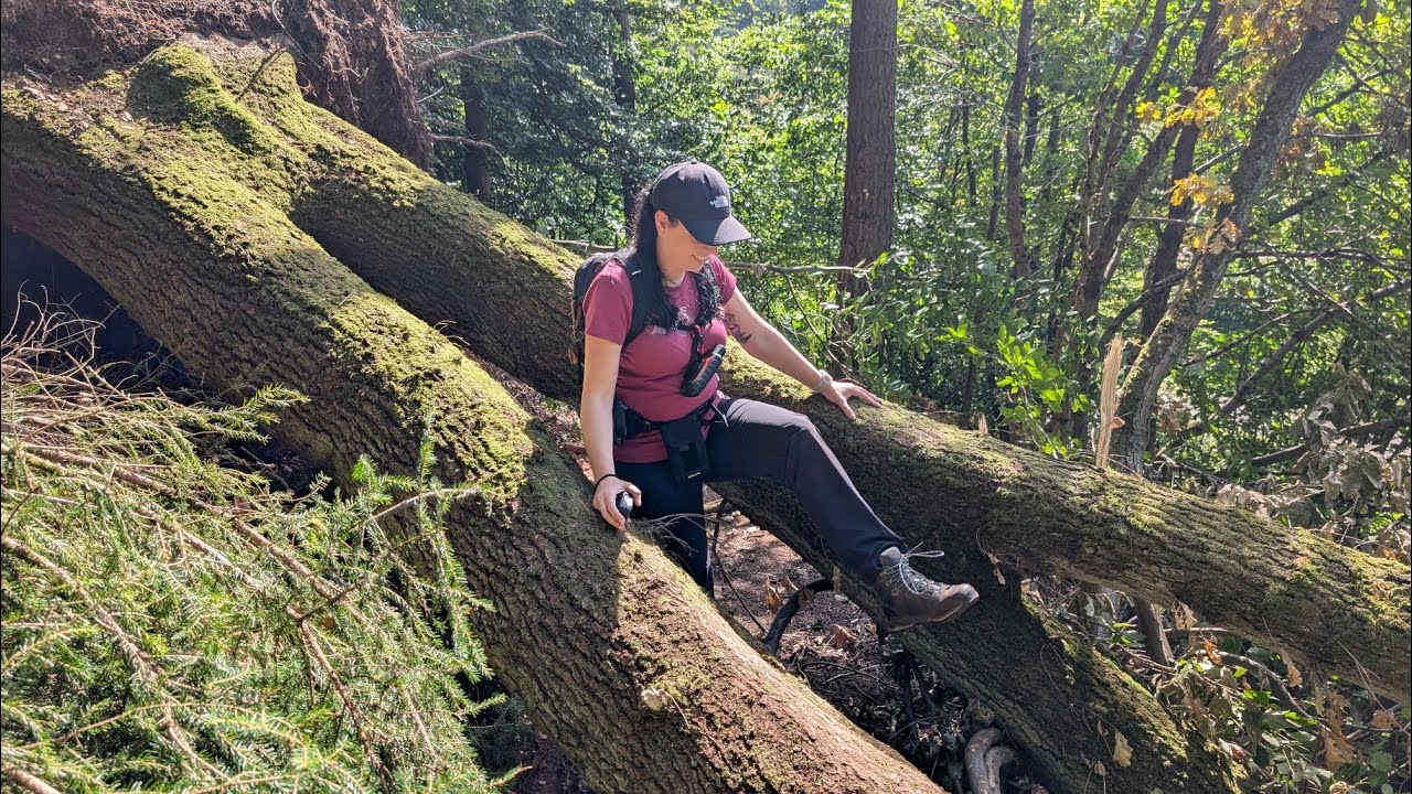 Steinenschloss, Saufelsen - Runde von Thaleischweiler-Fröschen (Kurzvideo)