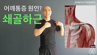 어깨통증 원인 어깨가 아니다?!_  6화│ 쇄골하근  Shoulder pain, Clavicle pain - Treatment for Subclavius