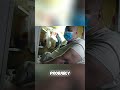 Man Lives in Coffin-Sized Apartment for 18 Years #shorts