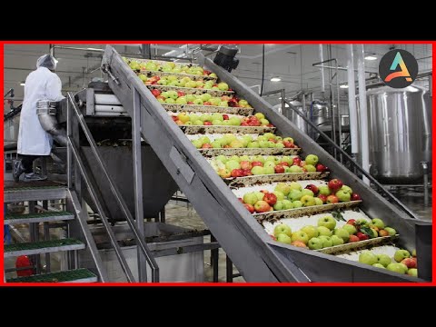 Amazing Fruit Packaging Process - Fruit Processing Process Machines And