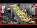 Amazing fruit packaging process  fruit processing process machines and processes