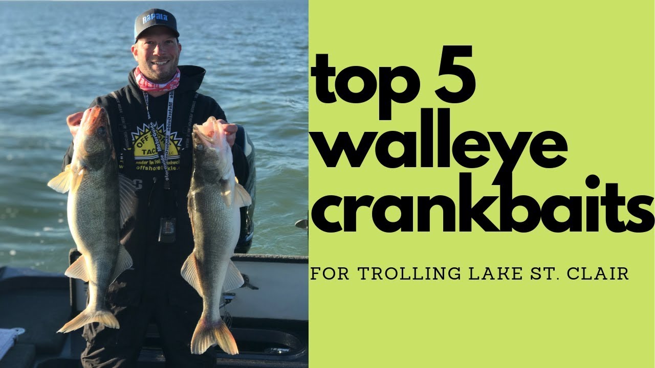 Top 5 Crankbaits for Trolling walleye on Lake St Clair 