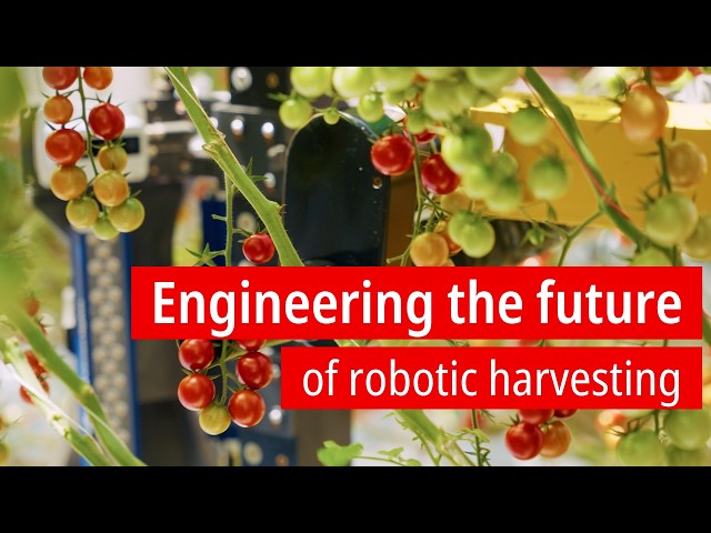 Four Growers is engineering the future of robotic harvesting