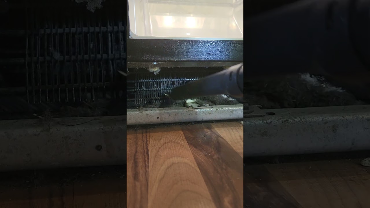 This is why your fridge stinks... the hair clogged my vacuum!! 