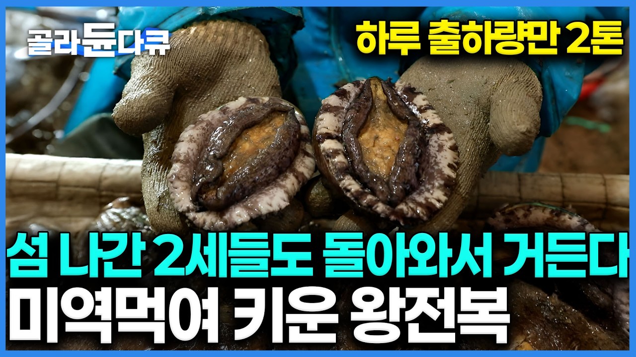 섬 나갔던 자식들도 귀어해서 전복딴다. 1년 중 가장 치열한 봄, 청산도 온 주민들 총출동해서 양식 손질 거든다는데｜섬자식들 대학보내고 장가보낸 전복｜한국기행｜#골라듄다큐