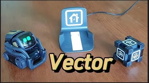 Vector Robot importance, review and Is the vector robot worth it?