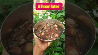 Reetha shikakai and Dry amla herbal homemade shampoo for natural hair growth #shorts