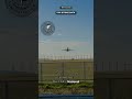 $1B Annual Aviation's Shocking Bird Strike Crisis