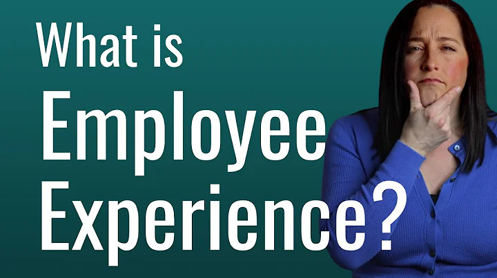 What is the employee experience?