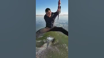 Found a fish hiding in the sea❤️