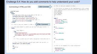 Add Comments to Explain Code