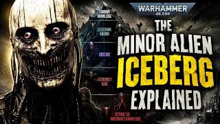 The Warhammer 40K Minor Factions Iceberg Explained