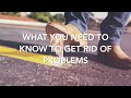 What You Need to Know To Get Rid of Problems.