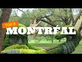 Top 8 Les 8 incontournables à visiter à Montréal
