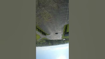 Fpv Drone Tree Loop #fpvdrone