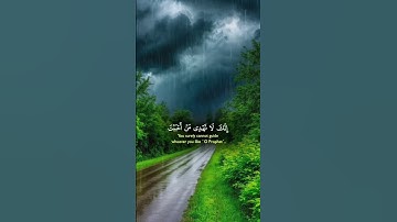 تلاوة خاشعه اسمع بقلبك 🍂🎧 #quran #قرآن #اكسبلور #المصحف #راحة_نفسية #لايك #trending