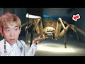 CON NHỆN TO CỠ NÀY NHẢY VÀO MẶT TÔI LIÊN TỤC | HUNTSMAN | DUY LÊ