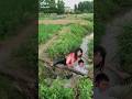 #funnys best video