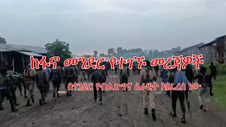 Anchor Fano News Feb 26 ከፋኖ መንደር የተገኙ መረጃዎች...በጎንደር የብልጽግና ሰራዊት እየፈረሰ ነው