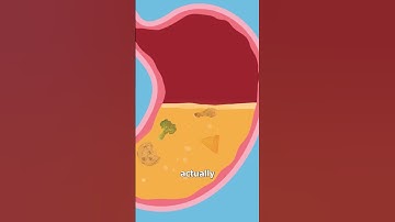 Why Your Stomach Growls 😷