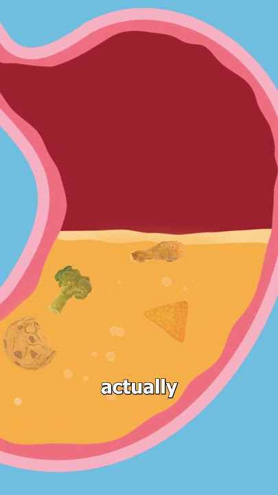 Why Your Stomach Growls 😷