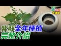 用紀錄影像認識台灣－國家攝影文化中心｜童溫層（首播版）｜2021.12.24