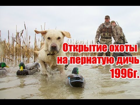 Открытие охоты на пернатую дичь 1996 года | Выпуск №59 (UKR)