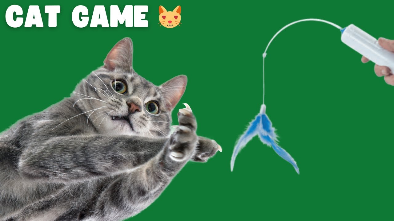 The Incredible Digital Cat Game 😻 - YouTube