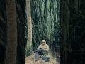Di Balik Seribu Bambu