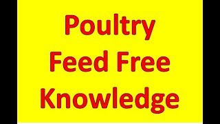 Subscribe Poultry India TV & Click Bell for daily rates. https://www.youtube.com/channel/UCQMZ4LB2cGwoE38xn340TTQ Today