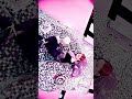 blackpink edit #blackpink #kpop #jennie #kimjennie #jisoo #rosé #lisa