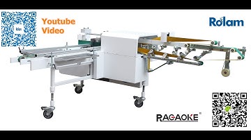 Automatic Folder Gluer machine Handy Pack/StackerRolam