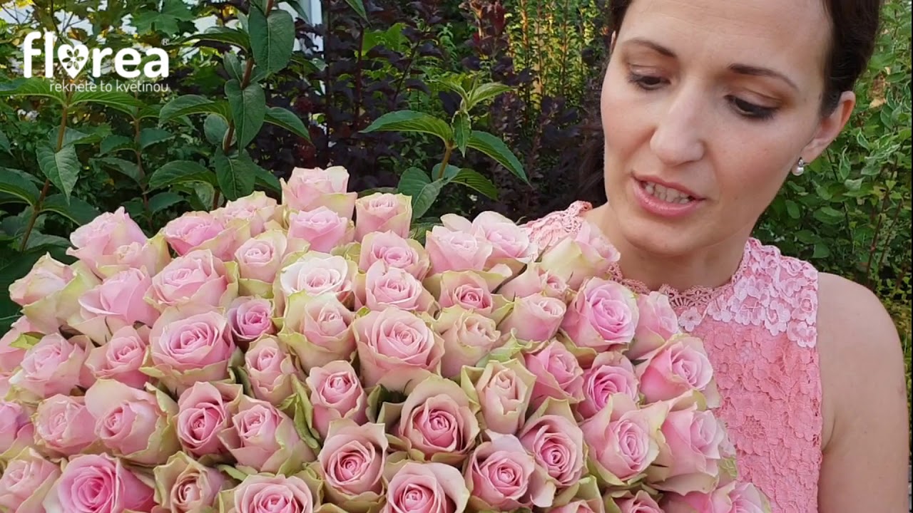 Florea.cz - rekordmanka ve výdrži, růže Bella Rose - YouTube