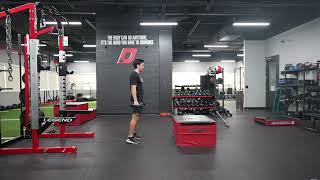 DB Loaded Countermovement Box Jump