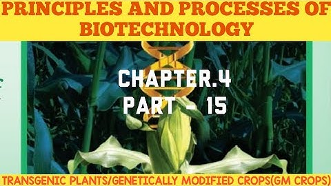 12th bio-botany chapter-4. Principles And Processes Of Biotechnology (TRANSGENIC PLANTS OR GM CROPS)