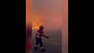 Deadly fires have burned 348,000 hectares in Spain this year