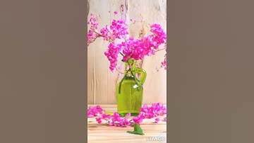 سورة الشرح بصوت جميل جداً beautiful Quran