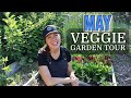 May 2024 vegetable garden tour