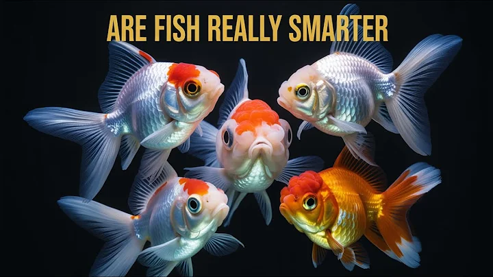 Are fish really smarter than we think?