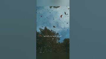 القارئ : محمد هشام | {فَصَبْرٌ جَمِيل} 🦋🖤