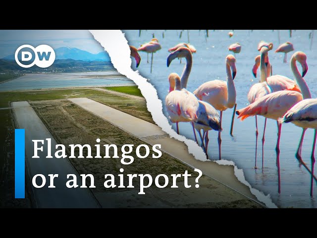 Natural paradise under threat in Albania - Will the Lagoon be saved? | DW Documentary