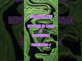 Damivox - Грозная неизбежность (Original Lyrics + Suno.com) #shorts #aimusic #rock #progrock #metal